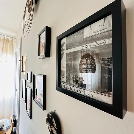 Premium Hyper Centre דירה *